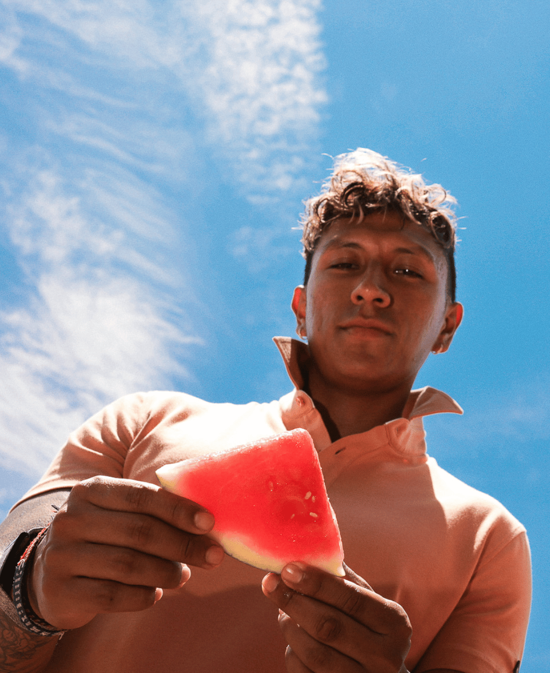 [HYBRID] Tech Polo - Clay - Tee - Athletifreak | Athletic & Gym Wear, Athleisure