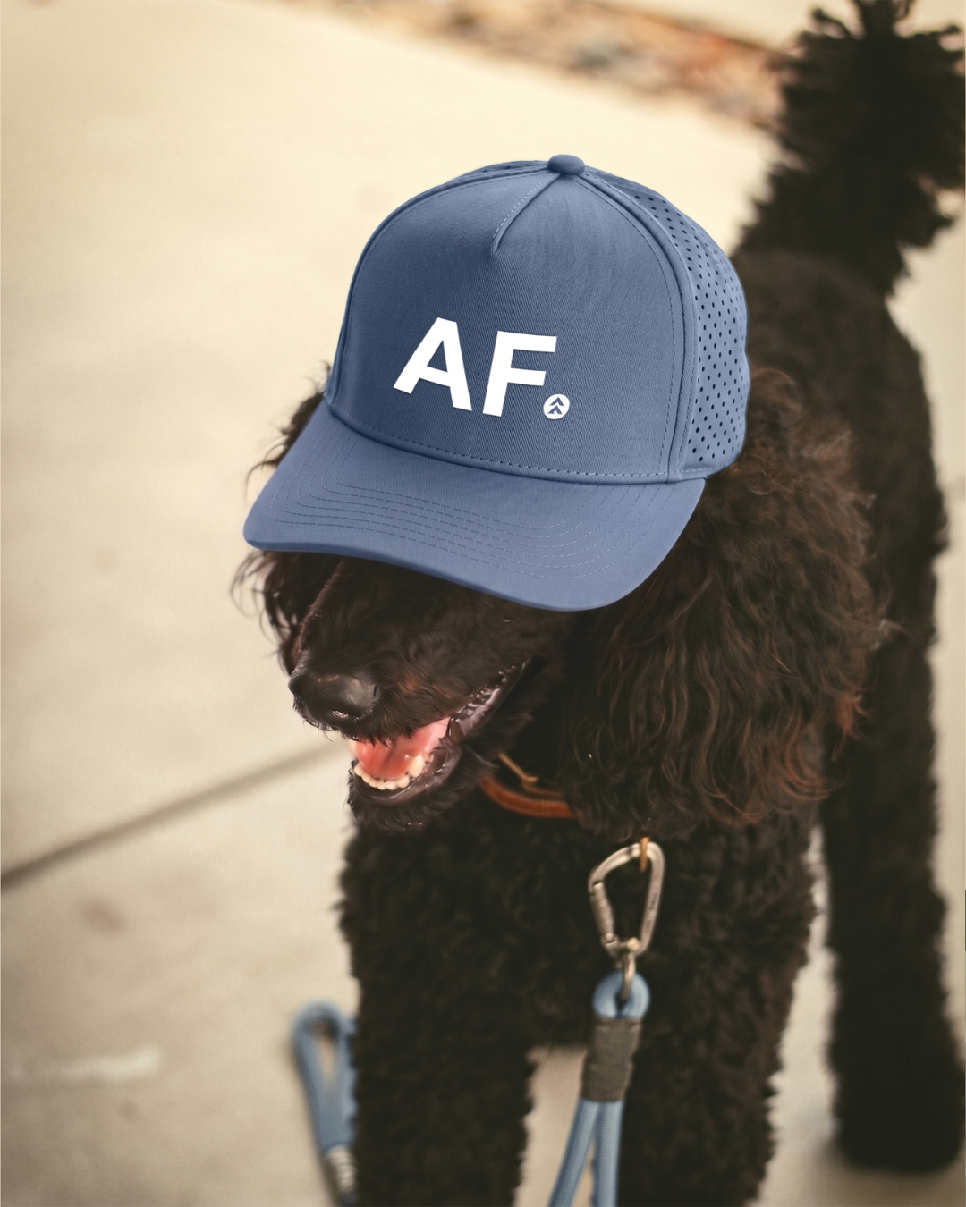 [GIVE AF] Trucker Hat - Cloud-3